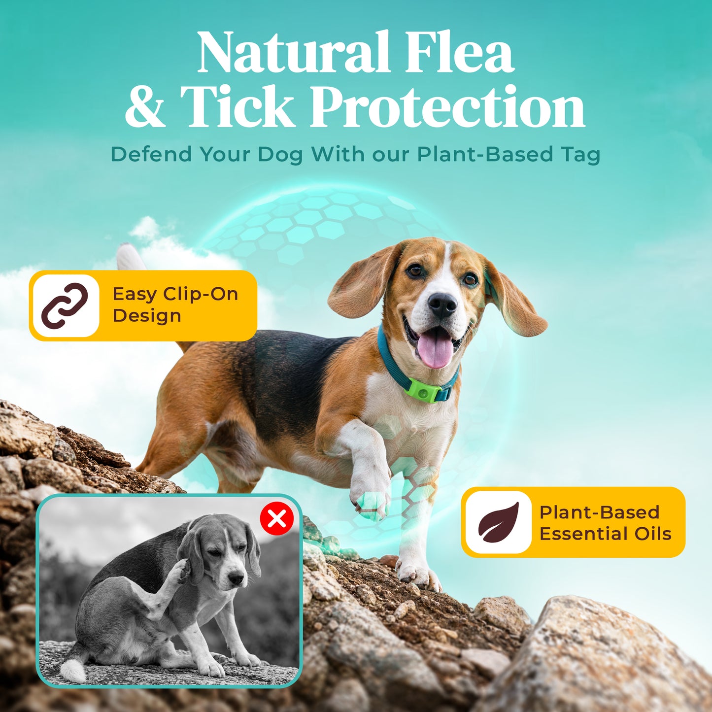 Natural Flea & Tick Protection Without Harsh Chemicals