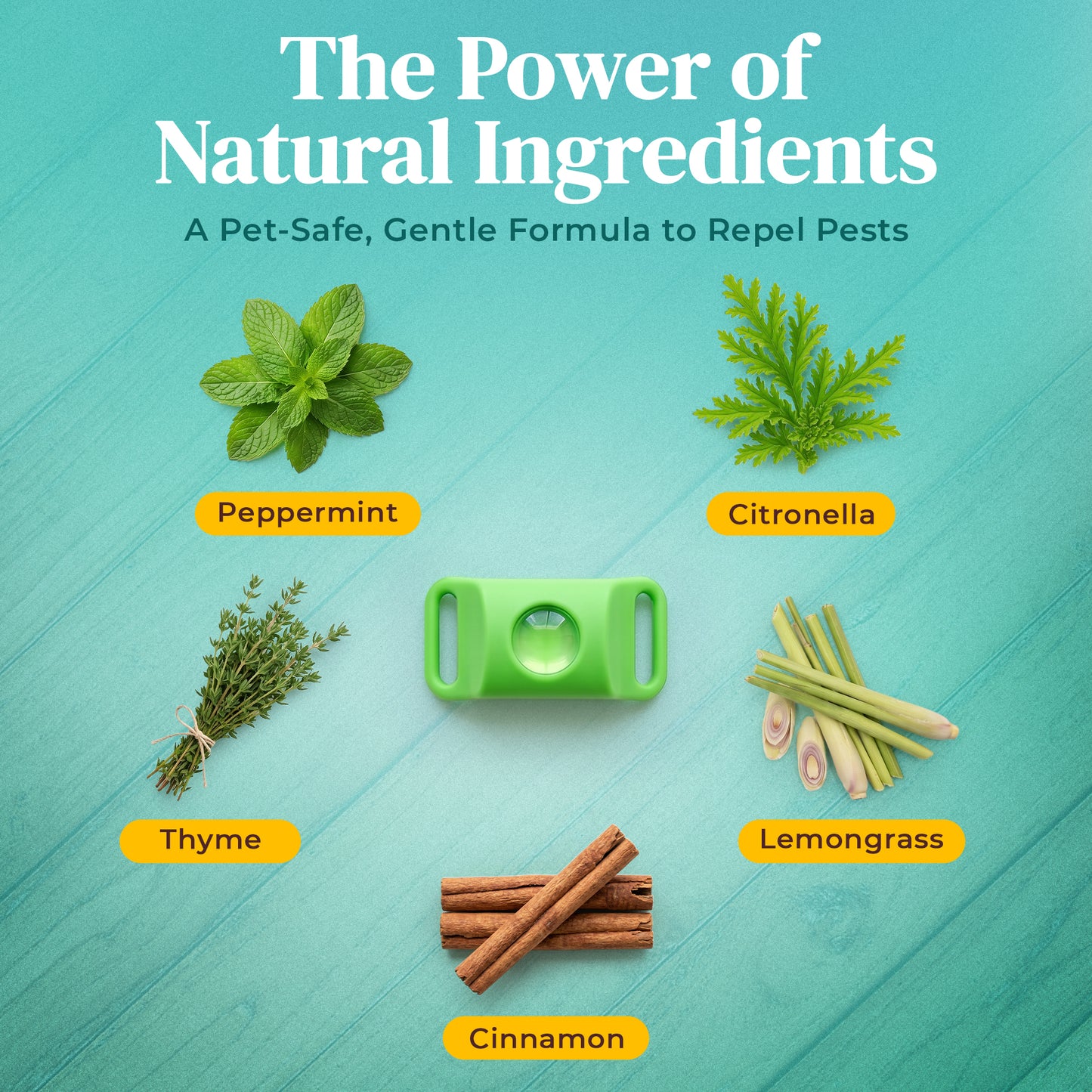 Natural Flea & Tick Protection Without Harsh Chemicals