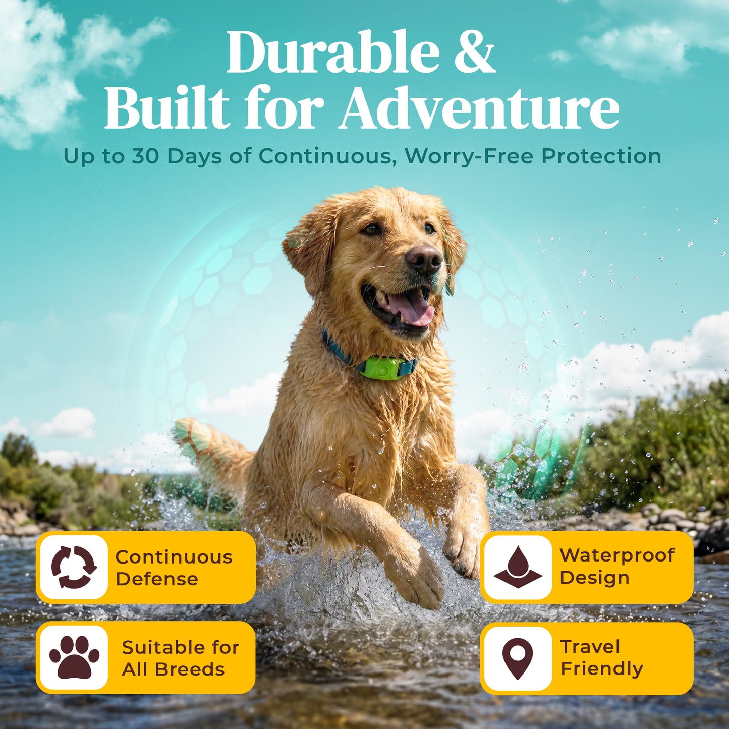 Natural Flea & Tick Protection Without Harsh Chemicals