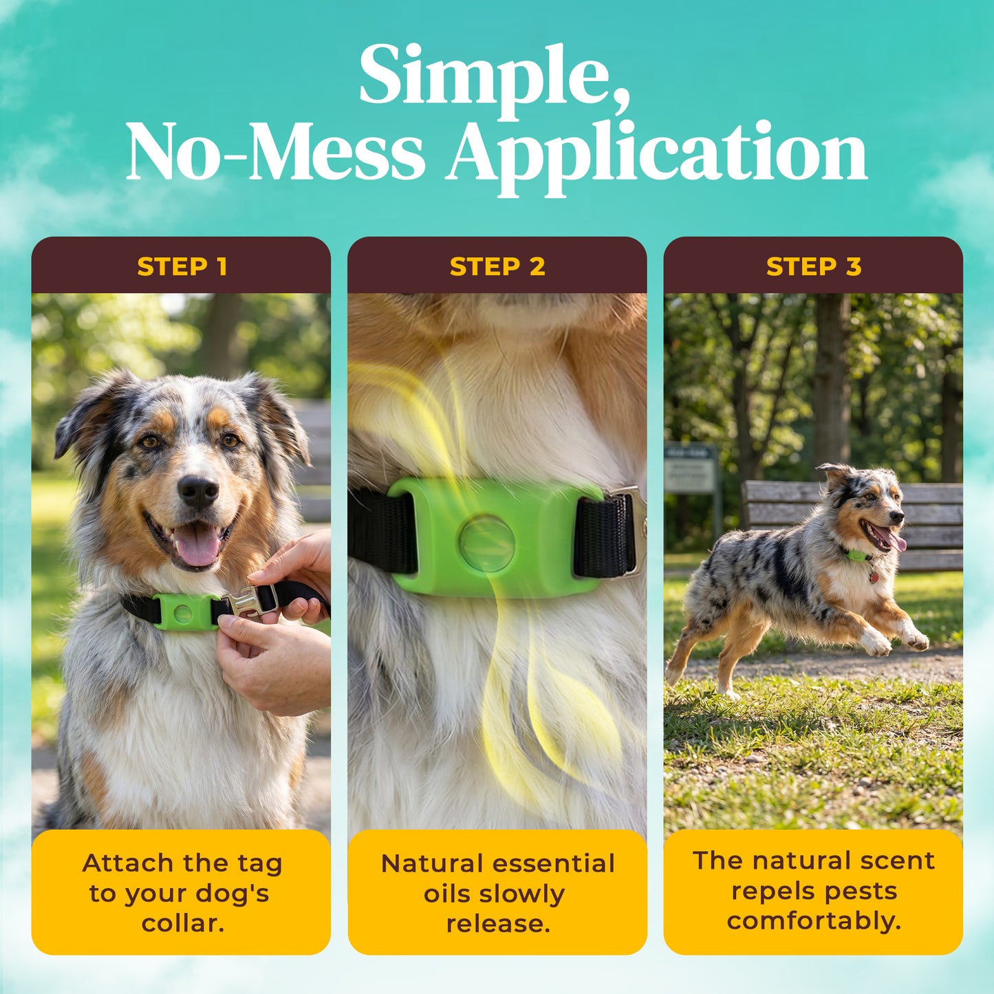Natural Flea & Tick Protection Without Harsh Chemicals