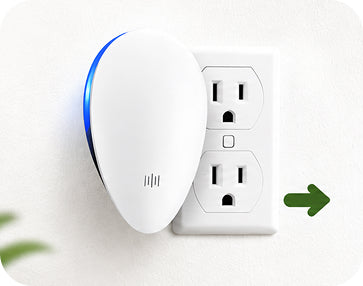 Plug it in