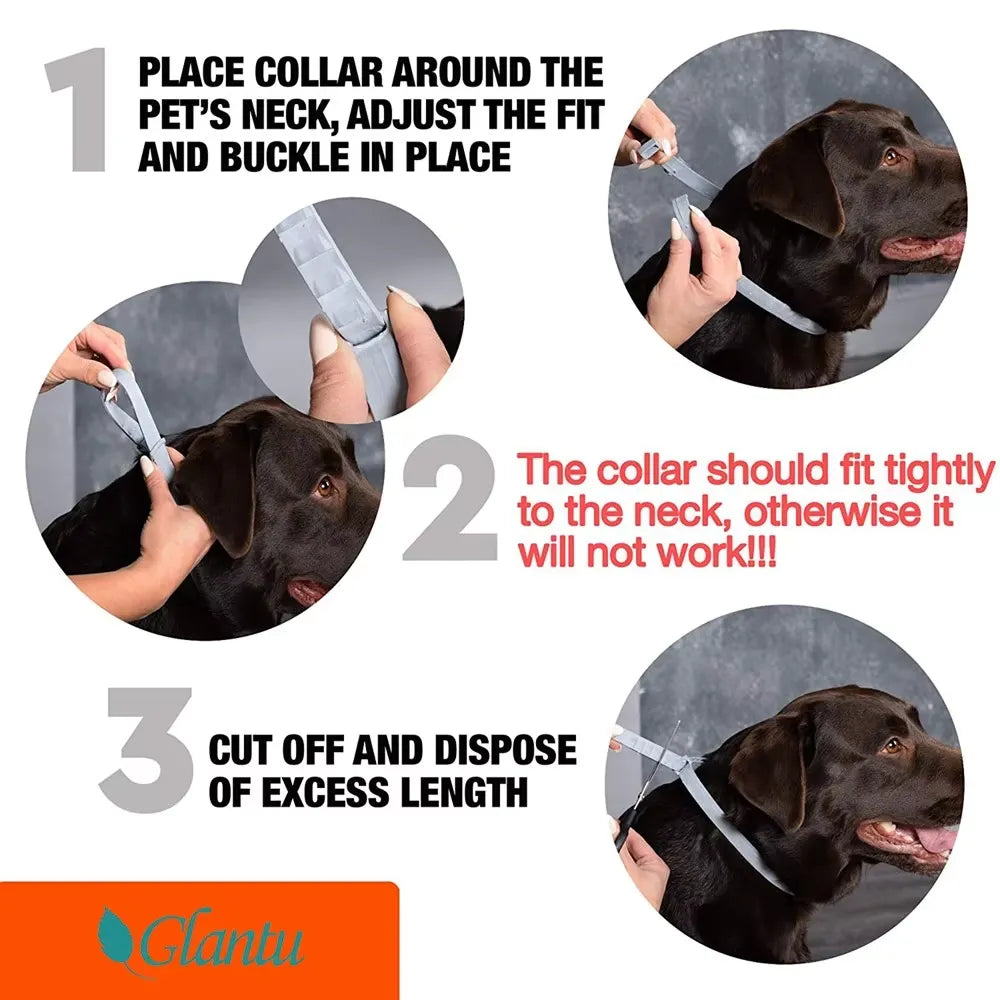 Cat Calming Collar – Natural Relaxation & Anxiety Support