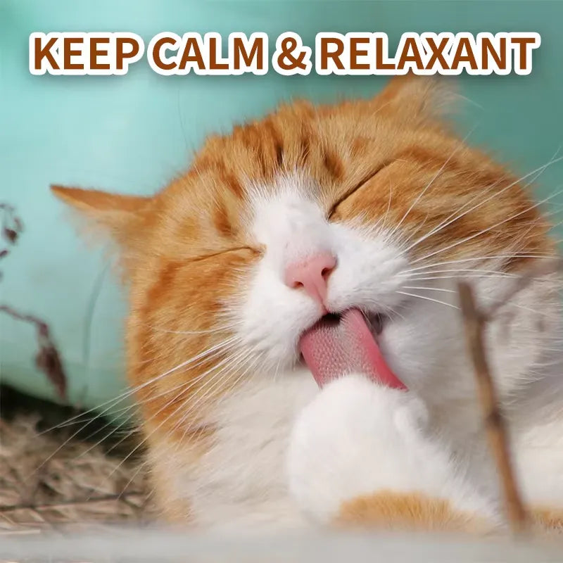 Cat Calming Collar – Natural Relaxation & Anxiety Support